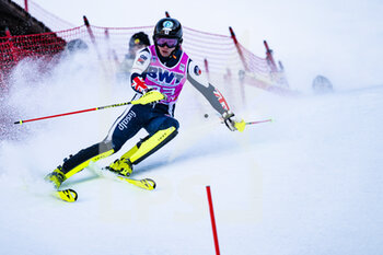 2022-01-15 - 16.01.2022, Wengen, Wengen, FIS Ski World Cup: Lauberhorn Wengen, Billy Major (Great Britain) during the 1st run - 2022 FIS SKI WORLD CUP - LAUBERHORN - ALPINE SKIING - WINTER SPORTS