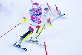 2022-01-16 - 16.01.2022, Wengen, Wengen, FIS Ski World Cup: Lauberhorn Wengen, Tanguy Nef (Switzerland) in action - FIS SKI WORLD CUP: LAUBERHORN 2022 - ALPINE SKIING - WINTER SPORTS
