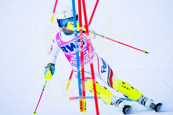 2022-01-16 - 16.01.2022, Wengen, Wengen, FIS Ski World Cup: Lauberhorn Wengen, Albert Popov (Bulgaria) in action - FIS SKI WORLD CUP: LAUBERHORN 2022 - ALPINE SKIING - WINTER SPORTS