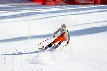 2022-01-20 - Stefanie FLECKENSTEIN (CAN) - 2022 FIS SKI WORLD CUP - WOMEN DOWNHILL FIRST TRAINING - ALPINE SKIING - WINTER SPORTS