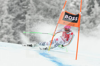 2022-01-21 - KITZBUEHEL, AUSTRIA - JANUARY 21: Dominik Schwaiger of Germany in action during the Audi FIS Alpine Ski World Cup Men’s Downhill on January 21, 2022 in Kitzbuehel, Austria. - 2022 AUDI FIS ALPINE SKI WORLD CUP MEN’S DOWNHILL - ALPINE SKIING - WINTER SPORTS