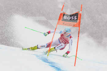 2022-01-21 - KITZBUEHEL, AUSTRIA - JANUARY 21: Stefan Rogentin of Switzerland in action during the Audi FIS Alpine Ski World Cup Men’s Downhill on January 21, 2022 in Kitzbuehel, Austria. - 2022 AUDI FIS ALPINE SKI WORLD CUP MEN’S DOWNHILL - ALPINE SKIING - WINTER SPORTS