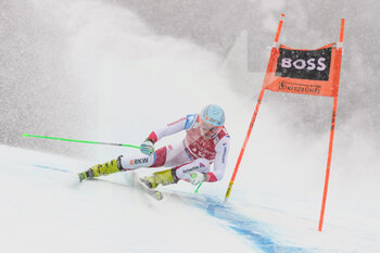 2022-01-21 - KITZBUEHEL, AUSTRIA - JANUARY 21: Stefan Rogentin of Switzerland in action during the Audi FIS Alpine Ski World Cup Men’s Downhill on January 21, 2022 in Kitzbuehel, Austria. - 2022 AUDI FIS ALPINE SKI WORLD CUP MEN’S DOWNHILL - ALPINE SKIING - WINTER SPORTS