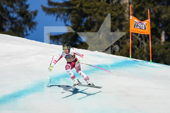 2022-02-26 - CRANS-MONTANA, SWITZERLAND - FEBRUARY 26: Stephanie Venier of Austria in action during the Audi FIS Alpine Ski World Cup Crans-Montana Women’s Downhill on February 26, 2022 in Crans-Montana, Switzerland. - AUDI FIS ALPINE SKI WORLD CUP 2022 - WOMEN'S DOWNHILL - ALPINE SKIING - WINTER SPORTS