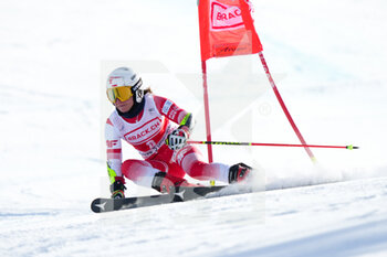 2022-03-06 - 06.03.2022, Lenzerheide, Lenzerheide, FIS Ski World Cup: Lenzerheide  Women's Giant Slalom, Maryna Gasienca-Daniel (POL) in action - FIS SKI WORLD CUP: LENZERHEIDE WOMEN'S GIANT SLALOM - ALPINE SKIING - WINTER SPORTS