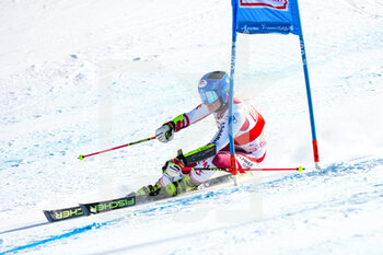 2022-03-06 - 06.03.2022, Lenzerheide, Lenzerheide, FIS Ski World Cup: Lenzerheide  Women's Giant Slalom, Katharina Truppe (AUT) in action - FIS SKI WORLD CUP: LENZERHEIDE WOMEN'S GIANT SLALOM - ALPINE SKIING - WINTER SPORTS