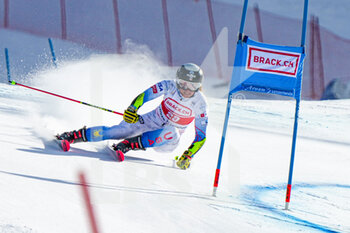 2022-03-06 - 06.03.2022, Lenzerheide, Lenzerheide, FIS Ski World Cup: Lenzerheide  Women's Giant Slalom, Paula Moltzan (USA) in action - FIS SKI WORLD CUP: LENZERHEIDE WOMEN'S GIANT SLALOM - ALPINE SKIING - WINTER SPORTS