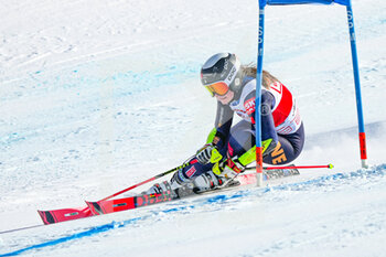 2022-03-06 - 06.03.2022, Lenzerheide, Lenzerheide, FIS Ski World Cup: Lenzerheide  Women's Giant Slalom, Hanna Aronsson Elfman (SWE) in action - FIS SKI WORLD CUP: LENZERHEIDE WOMEN'S GIANT SLALOM - ALPINE SKIING - WINTER SPORTS