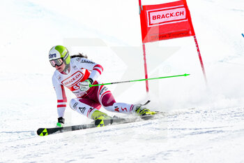 2022-03-06 - 06.03.2022, Lenzerheide, Lenzerheide, FIS Ski World Cup: Lenzerheide  Women's Giant Slalom, Katharina Huber (AUT) in action - FIS SKI WORLD CUP: LENZERHEIDE WOMEN'S GIANT SLALOM - ALPINE SKIING - WINTER SPORTS