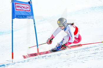 2022-03-06 - 06.03.2022, Lenzerheide, Lenzerheide, FIS Ski World Cup: Lenzerheide  Women's Giant Slalom, Jasmina Suter (SUI) in action - FIS SKI WORLD CUP: LENZERHEIDE WOMEN'S GIANT SLALOM - ALPINE SKIING - WINTER SPORTS