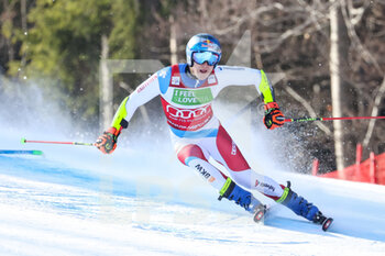 2022-03-12 - ODERMATT Marco (SUI) - FIS ALPINE SKI WORLD CUP 2022 - GIANT SLALOM OF KRANJSKA GORA - ALPINE SKIING - WINTER SPORTS