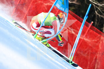 2022-03-12 - BRENNSTAINER Stefan (AUT) - FIS ALPINE SKI WORLD CUP 2022 - GIANT SLALOM OF KRANJSKA GORA - ALPINE SKIING - WINTER SPORTS