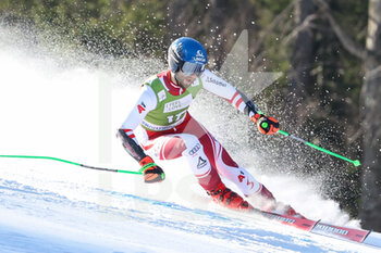 2022-03-12 - SCHWARZ Marco (AUT) - FIS ALPINE SKI WORLD CUP 2022 - GIANT SLALOM OF KRANJSKA GORA - ALPINE SKIING - WINTER SPORTS