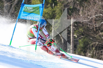 2022-03-12 - SCHWARZ Marco (AUT) - FIS ALPINE SKI WORLD CUP 2022 - GIANT SLALOM OF KRANJSKA GORA - ALPINE SKIING - WINTER SPORTS