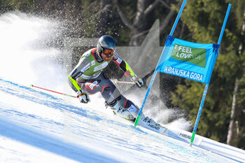 2022-03-12 - NESTVOLD-HAUGEN Leif Kristian (NOR) - FIS ALPINE SKI WORLD CUP 2022 - GIANT SLALOM OF KRANJSKA GORA - ALPINE SKIING - WINTER SPORTS