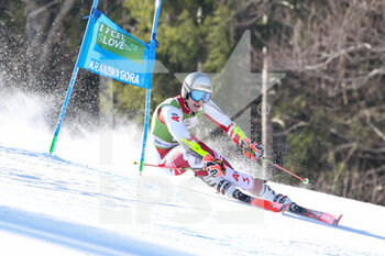 2022-03-12 - FEURSTEIN Patrick (AUT) - FIS ALPINE SKI WORLD CUP 2022 - GIANT SLALOM OF KRANJSKA GORA - ALPINE SKIING - WINTER SPORTS