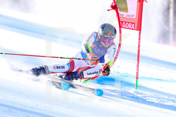 2022-03-13 - CAVIEZEL Gino (SUI) - FIS ALPINE SKI WORLD CUP 2022 - GIANT SLALOM OF KRANJSKA GORA - ALPINE SKIING - WINTER SPORTS