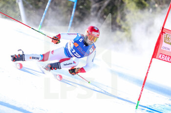2022-03-13 -  - FIS ALPINE SKI WORLD CUP 2022 - GIANT SLALOM OF KRANJSKA GORA - ALPINE SKIING - WINTER SPORTS