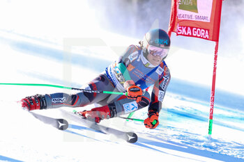 2022-03-13 - BRAATHEN Lucas (NOR) - FIS ALPINE SKI WORLD CUP 2022 - GIANT SLALOM OF KRANJSKA GORA - ALPINE SKIING - WINTER SPORTS