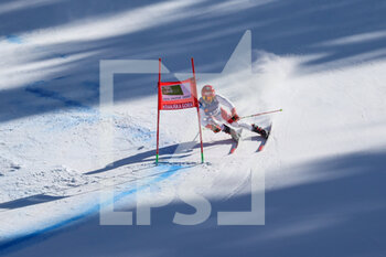2022-03-13 - MEILLARD Loic (SUI) - FIS ALPINE SKI WORLD CUP 2022 - GIANT SLALOM OF KRANJSKA GORA - ALPINE SKIING - WINTER SPORTS
