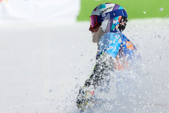 2022-03-13 - DE ALIPRANDINI Luca (ITA) - FIS ALPINE SKI WORLD CUP 2022 - GIANT SLALOM OF KRANJSKA GORA - ALPINE SKIING - WINTER SPORTS