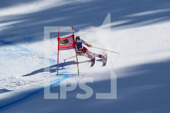 2022-03-13 - FELLER Manuel (AUT) - FIS ALPINE SKI WORLD CUP 2022 - GIANT SLALOM OF KRANJSKA GORA - ALPINE SKIING - WINTER SPORTS