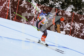 2022-12-17 - James Crawford (USA)  - FIS ALPINE SKI WORLD CUP - MEN DOWNHILL  - ALPINE SKIING - WINTER SPORTS
