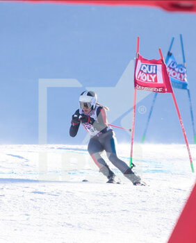 2022-12-10 - Lara Colturi of Albania during the Audi FIS World Cup 2022 Women’s Giant Slalom on 10 December 2022, in Sestriere, Italy. Photo Nderim Kaceli - WORLD CUP - WOMEN GIANT SLALOM - ALPINE SKIING - WINTER SPORTS