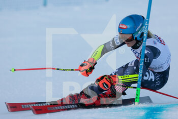 2022-12-10 - SKIING - FIS SKI WORLD CUP, 
Women's Giant Slalom
Sestriere, Piemonte, Italy
Saturday
SHIFFRIN Mikaela 4° Place Runn 1 
 - WORLD CUP - WOMEN GIANT SLALOM - ALPINE SKIING - WINTER SPORTS