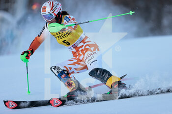 2022-12-11 - SKIING - FIS SKI WORLD CUP, 
Women's Slalom
Sestriere, Piemonte, Italy
VLHOVA Petra 1° Place 1 Run

 - 2022 ALPINE SKIING WORLD CUP - WOMEN SLALOM - ALPINE SKIING - WINTER SPORTS