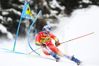 2022-12-19 - ODERMATT Marco (SUI) - MEN GIANT SLALOM - ALPINE SKIING - WINTER SPORTS