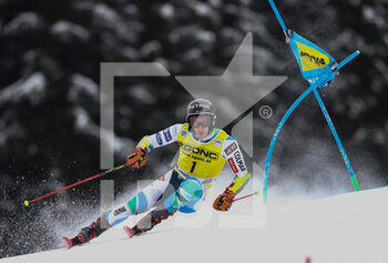 2022-12-19 - SKIING - FIS SKI WORLD CUP, 
FIS Alpine Ski World Cup - Men's Giant Slalom
Gran Risa Slope 
Monday 19th December

KRANJEC Zan 4° Position run 1 


 - MEN GIANT SLALOM - ALPINE SKIING - WINTER SPORTS