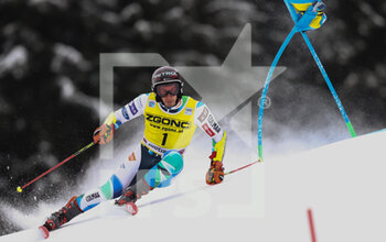 2022-12-19 - SKIING - FIS SKI WORLD CUP, 
FIS Alpine Ski World Cup - Men's Giant Slalom
Gran Risa Slope 
Monday 19th December
KRANJEC Zan 4° Position run 1 



 - MEN GIANT SLALOM - ALPINE SKIING - WINTER SPORTS