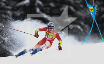 2022-12-19 - SKIING - FIS SKI WORLD CUP, 
FIS Alpine Ski World Cup - Men's Giant Slalom
Gran Risa Slope 
Monday 19th December

ODERMATT Marco 1° position Run 1 


 - MEN GIANT SLALOM - ALPINE SKIING - WINTER SPORTS