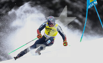 2022-12-19 - SKIING - FIS SKI WORLD CUP, 
FIS Alpine Ski World Cup - Men's Giant Slalom
Gran Risa Slope 
Monday 19th December

KRISTOFFERSEN Henrik 2° position Run 1



 - MEN GIANT SLALOM - ALPINE SKIING - WINTER SPORTS