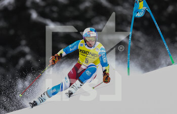 2022-12-19 - SKIING - FIS SKI WORLD CUP, 
FIS Alpine Ski World Cup - Men's Giant Slalom
Gran Risa Slope 
Monday 19th December

PINTURAULT Alexis 6° Position Run 1


 - MEN GIANT SLALOM - ALPINE SKIING - WINTER SPORTS