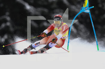 2022-12-19 - SKIING - FIS SKI WORLD CUP, 
FIS Alpine Ski World Cup - Men's Giant Slalom
Gran Risa Slope 
Monday 19th December

MEILLARD Loic 3° Position on Run 1


 - MEN GIANT SLALOM - ALPINE SKIING - WINTER SPORTS