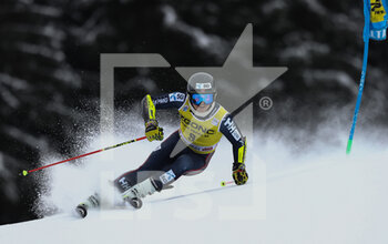 2022-12-19 - SKIING - FIS SKI WORLD CUP, 
FIS Alpine Ski World Cup - Men's Giant Slalom
Gran Risa Slope 
Monday 19th December

McGRATH Atle Lie 8° Position Run1


 - MEN GIANT SLALOM - ALPINE SKIING - WINTER SPORTS