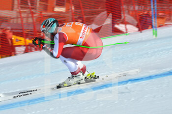 29/12/2022 - kriechmayr vincent aut 2° place - FIS ALPINE SKI WORLD CUP - MEN'S SUPER G - SCI ALPINO - SPORT INVERNALI