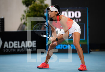 2022-01-03 - Priscilla Hon of Australia in action during the first round against Petra Kvitova of the Czech Republic at the 2022 Adelaide International WTA 500 tennis tournament on January 3, 2022 at Memorial Drive Tennis Centre in Adelaide, Australia - 2022 ADELAIDE INTERNATIONAL WTA 500 TENNIS TOURNAMENT - INTERNATIONALS - TENNIS