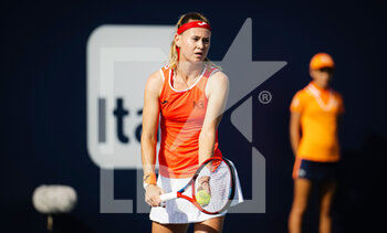 2022-03-22 - Marie Bouzkova of the Czech Republic in action against Laura Siegemund of Germany during the first round of the 2022 Miami Open, WTA Masters 1000 tennis tournament on March 23, 2022 at Hard Rock stadium in Miami, USA - 2022 MIAMI OPEN, WTA MASTERS 1000 TENNIS TOURNAMENT - INTERNATIONALS - TENNIS