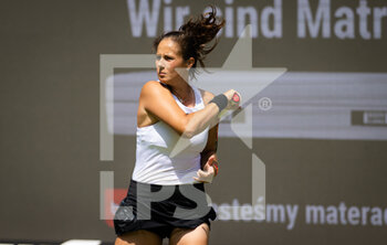 2022-06-13 - Daria Kasatkina of Russia in action against Anhelina Kalinina of Ukraine during the first round of the 2022 bett1Open WTA 500 tennis tournament on June 13, 2022 at Rot-Weiss Tennis Club in Berlin, Germany - TENNIS - WTA - 2022 BETT1OPEN - INTERNATIONALS - TENNIS