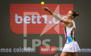 2022-06-13 - Karolina Pliskova of the Czech Republic in action against Kaia Kanepi of Estonia during the first round of the 2022 bett1Open WTA 500 tennis tournament on June 13, 2022 at Rot-Weiss Tennis Club in Berlin, Germany - TENNIS - WTA - 2022 BETT1OPEN - INTERNATIONALS - TENNIS