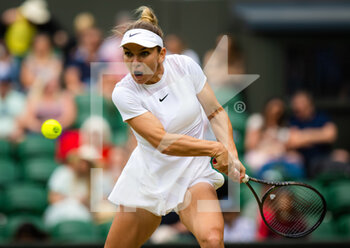 2022-07-04 - Simona Halep of Romania in action against Paula Badosa of Spain during the fourth round of the 2022 Wimbledon Championships, Grand Slam tennis tournament on July 4, 2022 at All England Lawn Tennis Club in Wimbledon near London, England - TENNIS - WIMBLEDON 2022 - INTERNATIONALS - TENNIS