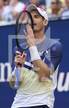 2022-09-02 - Andy Murray of Great Britain during day 5 of the US Open 2022, 4th Grand Slam tennis tournament of the season on September 2, 2022 at USTA National Tennis Center in New York, United States - TENNIS - US OPEN 2022 - WEEK 1 - INTERNATIONALS - TENNIS