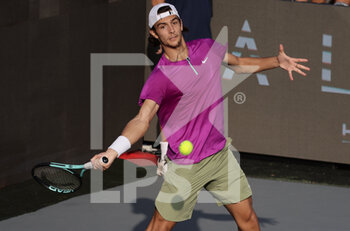 2022-10-23 - Lorenzo Musetti of Italy win the final of ATP Naples against Matteo Berrettini of Italy  - ATP 250 NAPLES FINAL - INTERNATIONALS - TENNIS