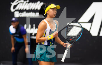 2022-10-17 - Ann Li of the United States in action during her first-round match at the 2022 WTA Guadalajara Open Akron WTA 1000 tennis tournament on October 17, 2022 in Guadalajara, Mexico - TENNIS - WTA - GUADALAJARA OPEN AKRON 2022 - INTERNATIONALS - TENNIS