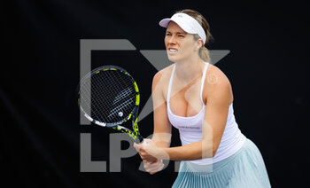 2022-10-18 - Danielle Collins of the United States in action against Caroline Dolehide of the United States during her first-round match at the 2022 WTA Guadalajara Open Akron WTA 1000 tennis tournament on October 18, 2022 in Guadalajara, Mexico - TENNIS - WTA - GUADALAJARA OPEN AKRON 2022 - INTERNATIONALS - TENNIS