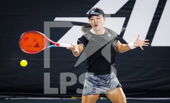 2022-10-18 - Lin Zhu of China in action against Daria Kasatkina of Russia during her second-round match at the 2022 WTA Guadalajara Open Akron WTA 1000 tennis tournament on October 18, 2022 in Guadalajara, Mexico - TENNIS - WTA - GUADALAJARA OPEN AKRON 2022 - INTERNATIONALS - TENNIS