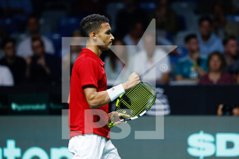 24/11/2022 - Felix Auger-Aliassime of Canada celebrates the victory against Oscar Otte of Germany during the second tennis match from Davis Cup Finals 2022, Quarter-Finals round, played between Germany and Canada on november 24, 2022 at Palacio de Deportes Martin Carpena pavilion in Malaga, Spain - TENNIS - DAVIS CUP FINALS 2022 - GERMANY V CANADA - INTERNAZIONALI - TENNIS